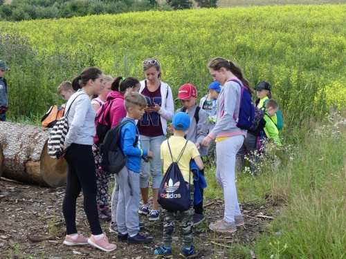 201907240856450.p1060908