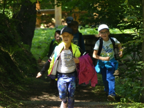 201907240856450.p1060938