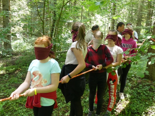 201907240856450.p1060967