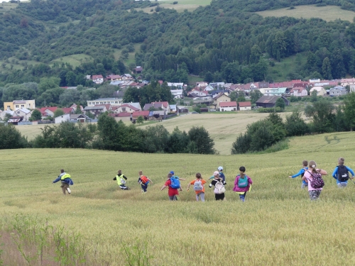 201907240856450.p1070053