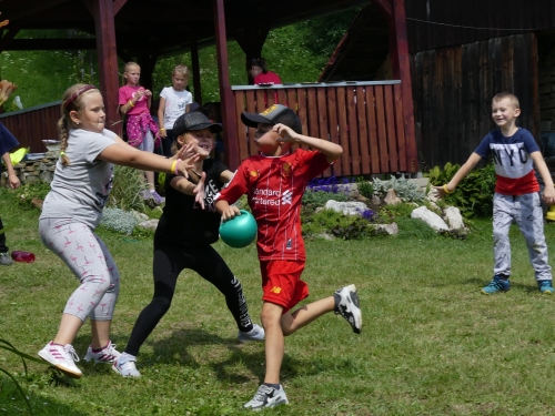 201907240856450.p1070188