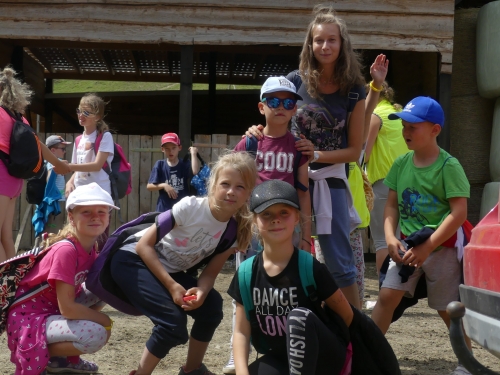 201907240856450.p1070342