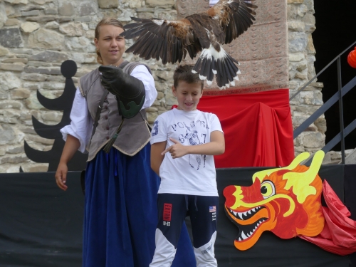 201907240856450.p1070419