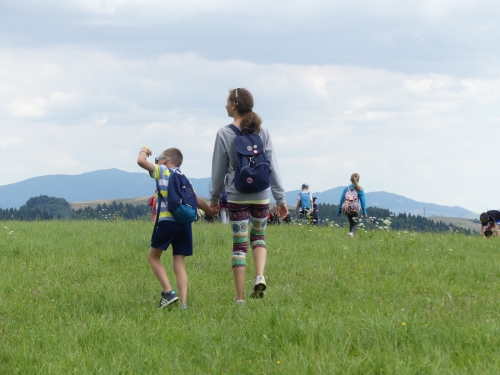 201907240856450.p1070535