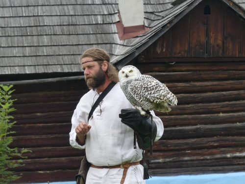 201908051118160.67089996-2313236688930800-9127609156805591040-o