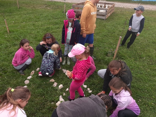 201908051118160.67269825-2312905732297229-2194058440861548544-o