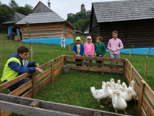 201908051118160.67275108-2312909972296805-3383507014528270336-o