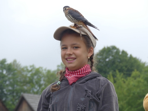 201908051118160.67278495-2313236385597497-2310504732357033984-o