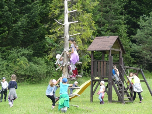 201908051118170.66840676-2313906752197127-7945924582634946560-o