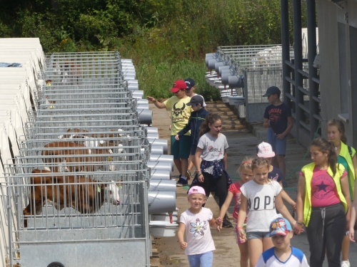 201908051124340.67337633-2317928888461580-4338050353464344576-o