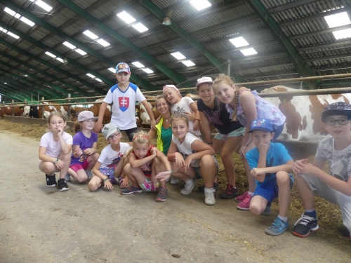 201908051124340.67901831-2317928268461642-1115191007185469440-o