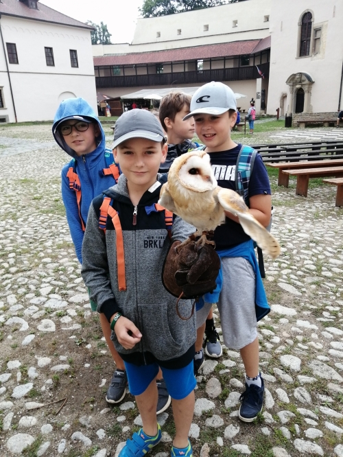 201908051124340.img-20190801-121753