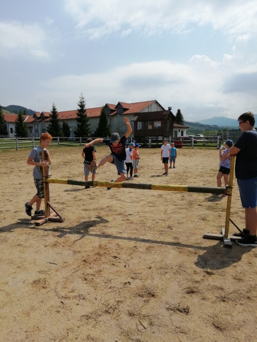 201908051124350.img-20190730-122507