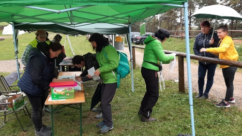 201910031512040.20191003-092454