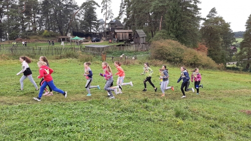 201910031512040.20191003-102213