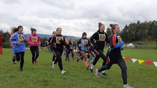 201910031512040.20191003-105410