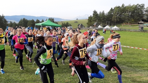 201910081351490.20191008-102027