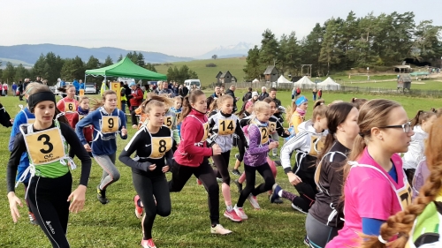 201910081351490.20191008-102028