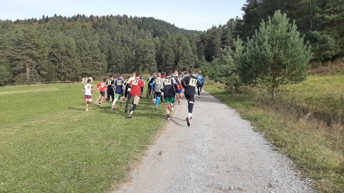 201910081351490.20191008-103723