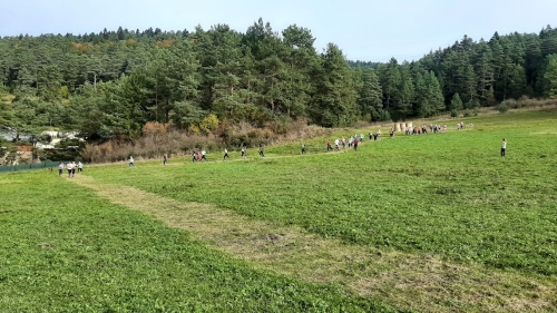 201910081351500.20191008-102138