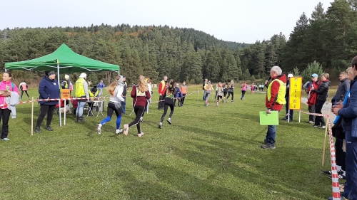 201910081351500.20191008-102345