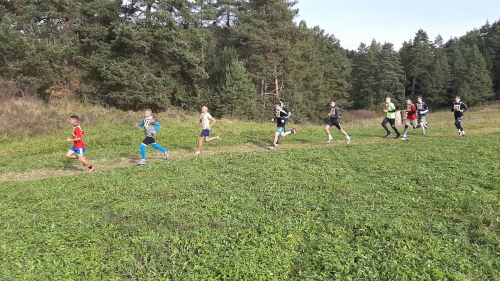 201910081351500.20191008-103824