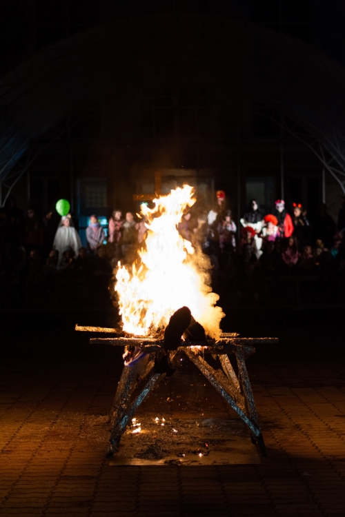 201911070831070.ado-1037