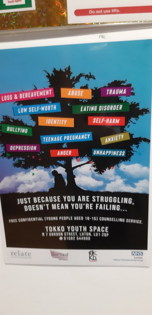 201911071027390.70381059-385877608760045-4906146081433190400-n