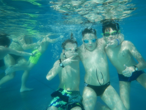 202002050839300.dscn1228