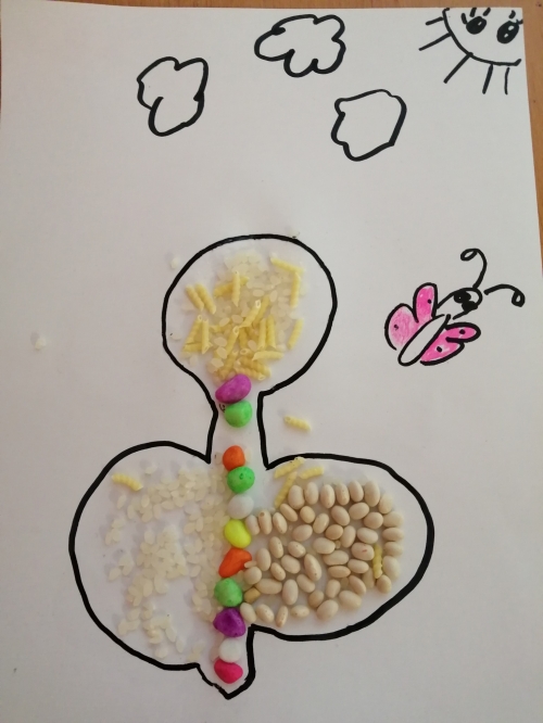 202002250906520.img-20200205-101334