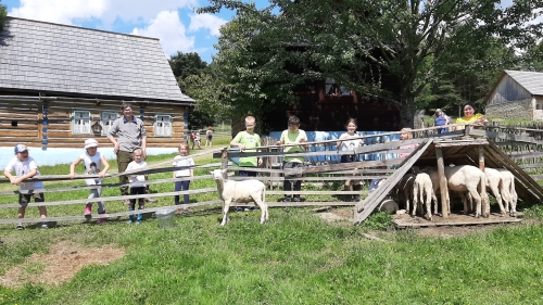 202007281011500.20200720-142346