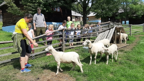 202007281011500.20200720-143003