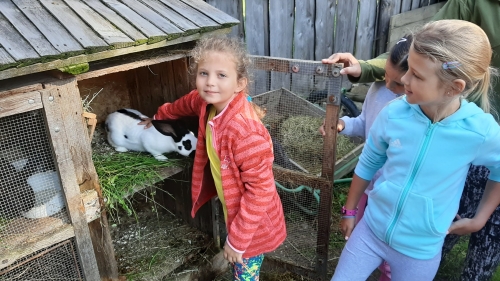 202007281011500.20200722-083745