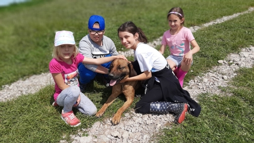 202007281011500.20200722-121637