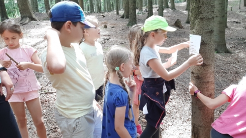 202007281011510.20200723-140450