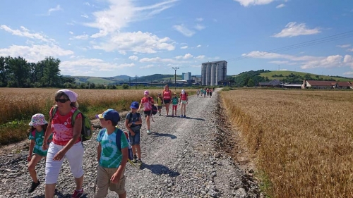 202008251019470.116270255-2617554721832327-6976895748507584224-n