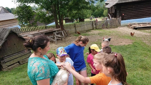 202008251019470.116292228-2617561918498274-6175971327537198773-n