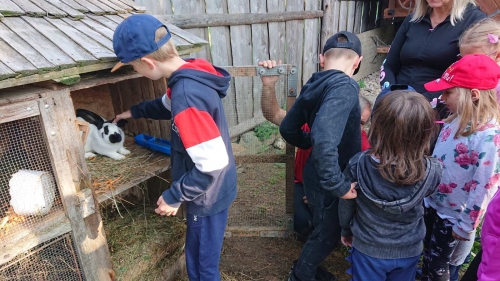 202008251028500.img-c75f0ec238d189d6b0e34f250b2455ec-v