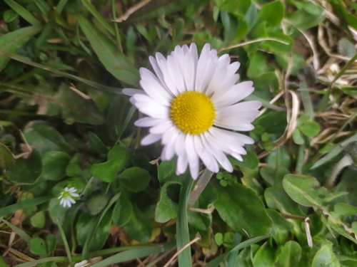 202104210922530.175844979-749096425753360-3333208794622347929-n