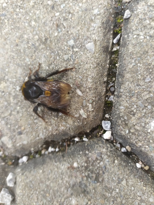 202104210922530.176105191-360802275327288-2548794416153725346-n