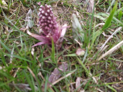 202104210922540.175889332-870404313512473-6733123761816128866-n