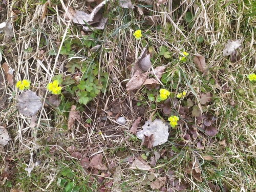 202104210922540.175892324-157360766304057-2617441997438173926-n