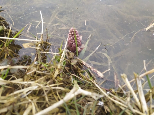 202104210922540.176031338-4097323846984286-5126410747494513942-n