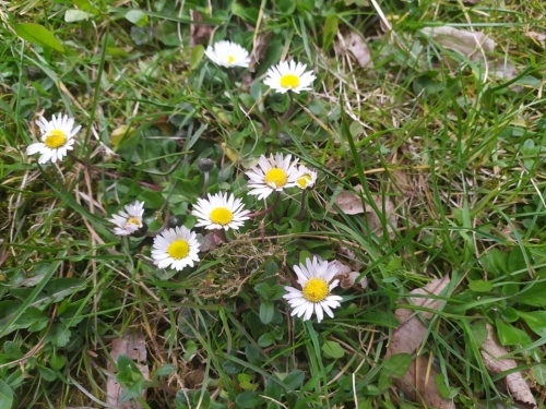 202104210922540.176232191-2597576953868805-7606777292350276268-n