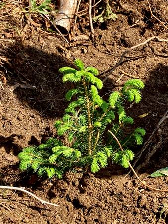 202106141522190.image007