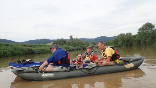 202107200931260.p7010031