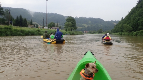 202107200931270.p7030105