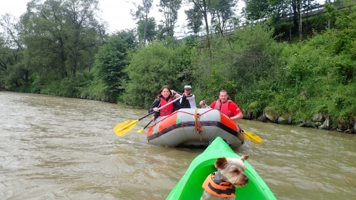 202107200931270.p7040181