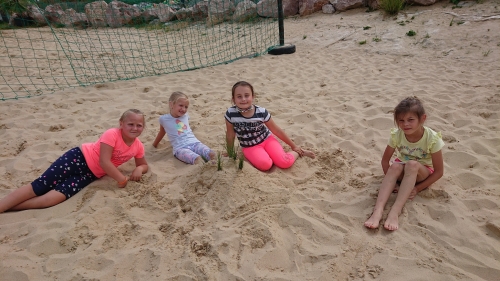 202108040846330.dsc-1911