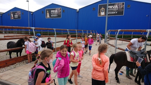 202108040846340.dsc-1732